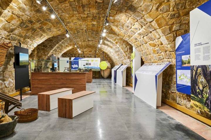 Úbeda impulsa un nuevo Centro de Interpretación del Olivar y el Aceite en la Hospedería del Blanquillo