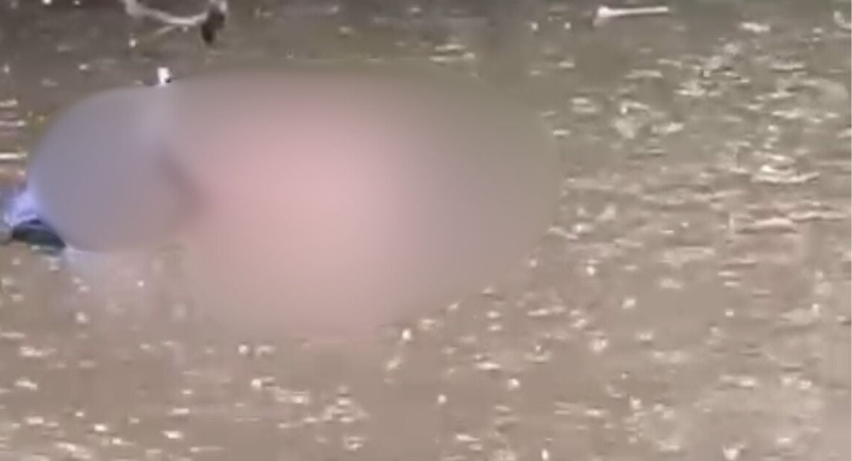 Hallan cuerpo sin vida flotando en el río Manzanares Las autoridades ya se encuentran en el lugar.