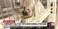Community helps out with new kennel for dogs