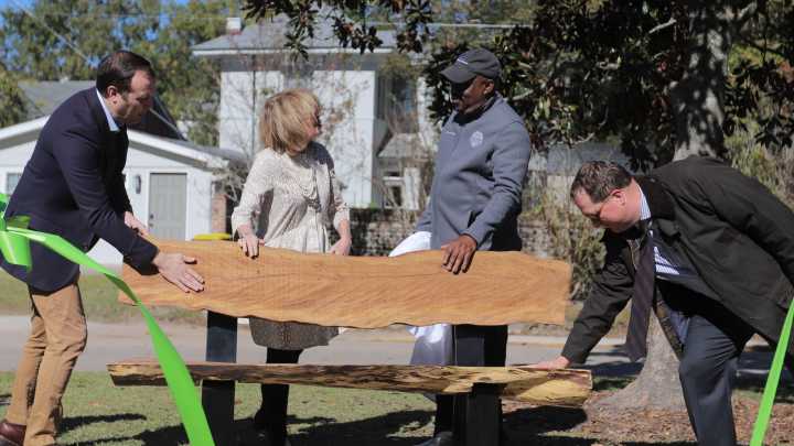 Beloved fallen tree repurposed and returned to Savannah community park