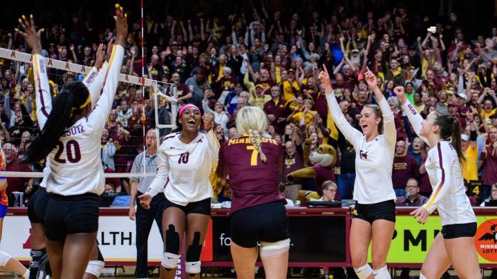 Professional women's volleyball is coming to Minnesota