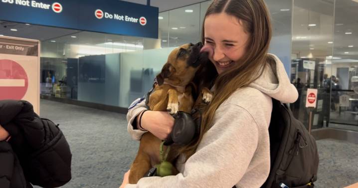 Families reunite at Palm Beach International Airport as Thanksgiving travel surges