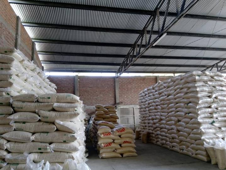 LE CIERRAN LA PUERTA AL MAÍZ CAMPECHANO