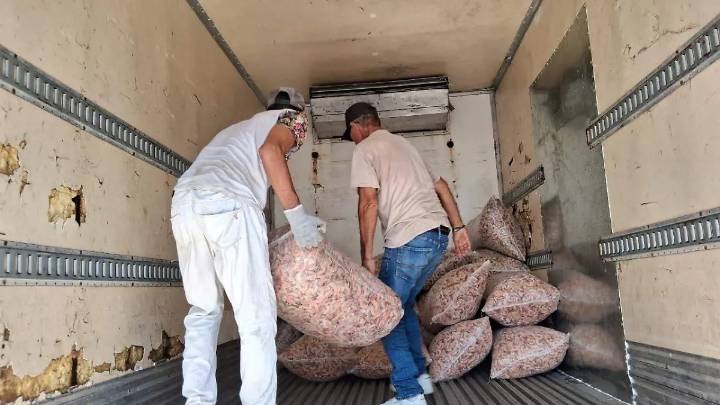 Barcos entran a puerto a descargar el poco camarón del primer viaje