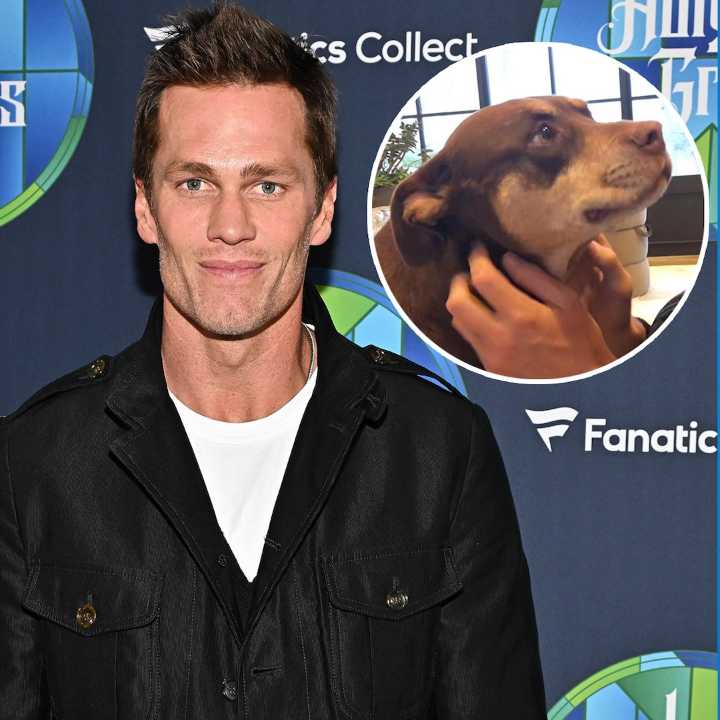 Tom Brady Clones Late Dog