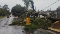 Dos tornados dejaron severos destrozos en Misiones y el sur de Brasil Si bien los daños fueron considerables, hasta el momento no se registraron víctimas ni heridos. Se produjeron numerosos cortes de 