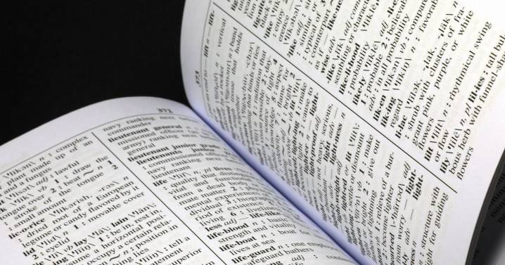 New 'racist' term among words of the year alongside broligarchy