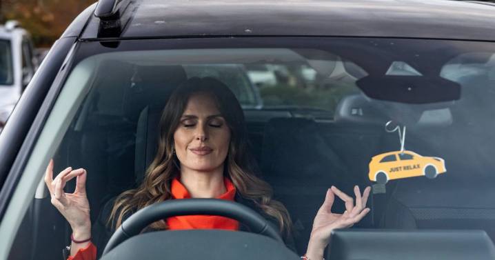 Drivers do 1 thing to get 'peace and quiet'