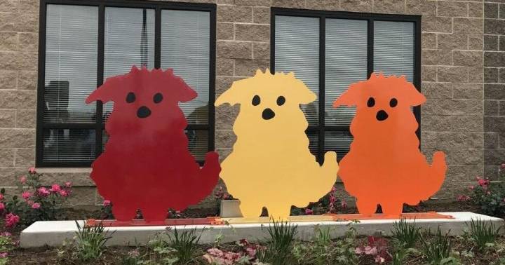 Crown Point man charged after allegedly failing to seek help for emaciated dog