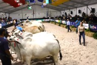 Genética de la ganadería venezolana es calificada de altísima calidad por jueces internacionales