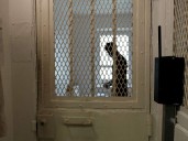 Dos presos se fugan de cárcel francesa con sábanas en plena sobrepoblación