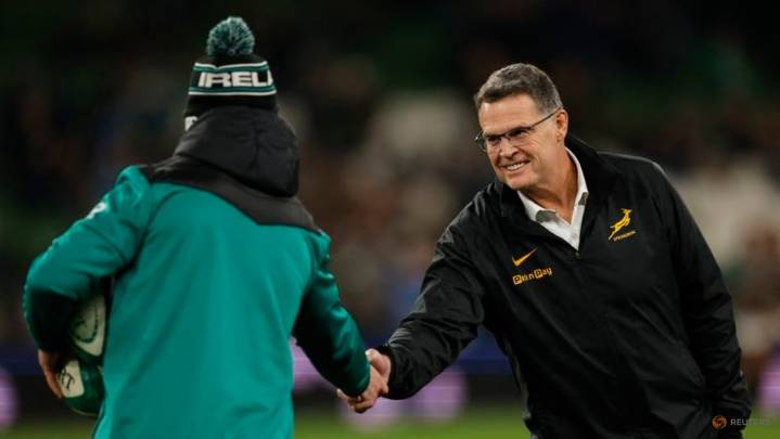 Erasmus pleased to get Irish monkey off South Africa's back