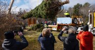 Tariff tensions don’t stop annual Christmas tree gift from Nova Scotia to Boston
