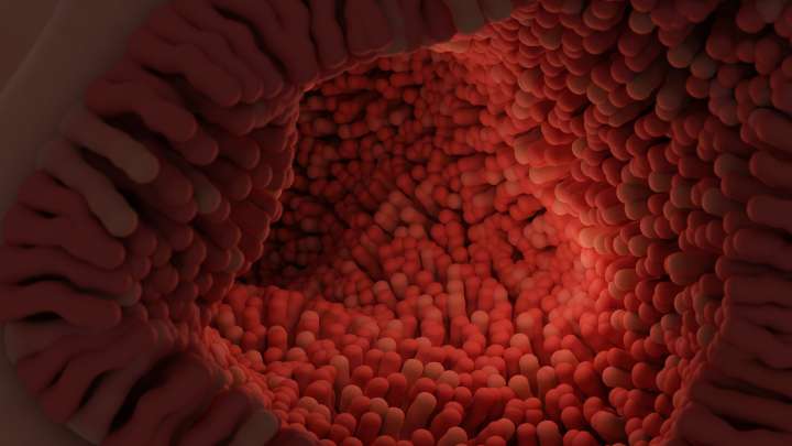 Just4Kids: How does your body make poop?