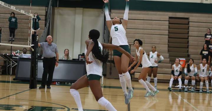 Pirates, Stallions, Wranglers well-represented on all