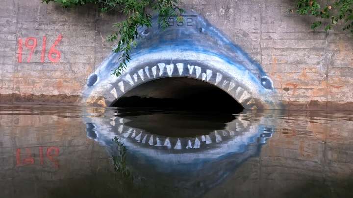 Blood in the water. How N.J. became a great American shark state.