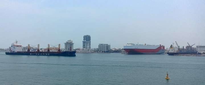 Senasica ha rechazado entrada en el puerto de Veracruz de 153 embarques comerciales