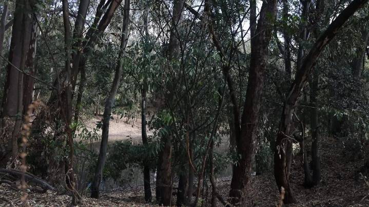 Licitan primera etapa de nuevo parque en Flor del Bosque, busca igualarse al Bosque de Chapultepec