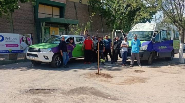 Mirador Sporting y el Club Aseba de San Luis ya tienen sus cortinas forestales