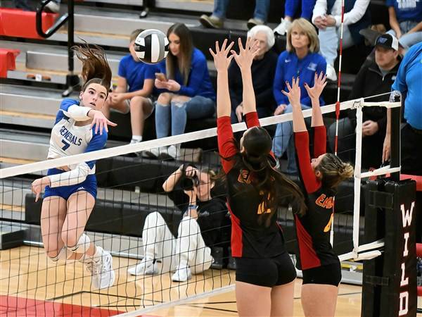 Anthony Wayne volleyball sweeps Big Walnut, surges into state semifinals