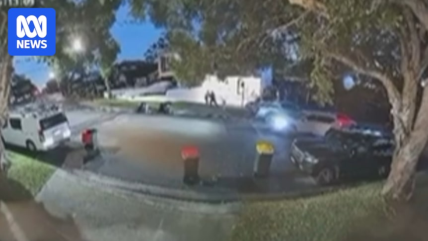 CCTV footage of alleged kidnapping of George Ayoub