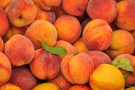 Fresh peaches sold at Trader Joe's, Kroger recalled over listeria risk