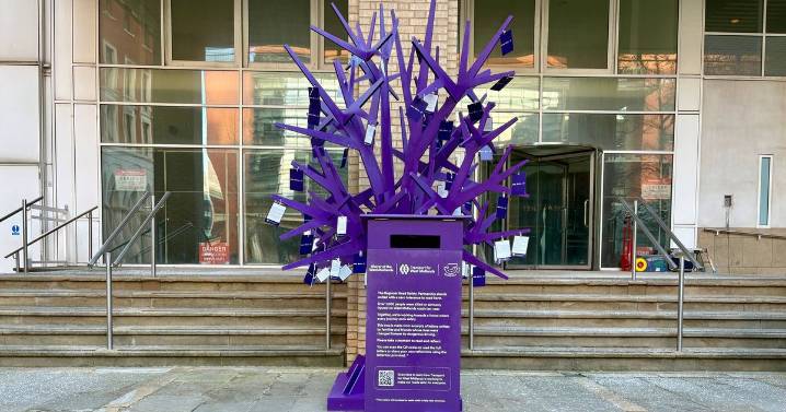 Stark message to all drivers as heartbroken families say 'you can't imagine the pain'