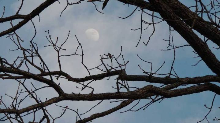 Cold weather shelters open as temperatures drop