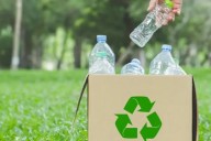 Este elemento llama la atención pero es clave para reciclar el agua que utilizamos en nuestras casas: de cuál se trata