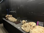 Revela INAH malos motes, daños e importancia de cuidar a las momias de Guanajuato