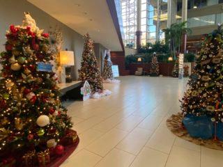 Bon Secours St. Francis Festival of Trees opens in downtown Greenville