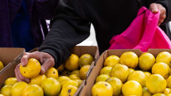 Judge orders Trump to fully fund SNAP. Will Hoosiers get full benefits?