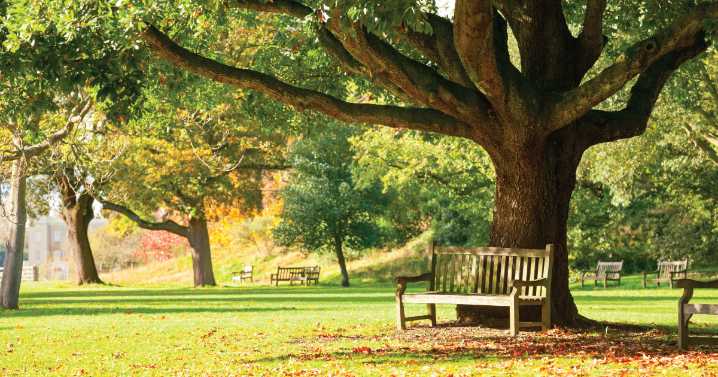 City of Mill Creek accepting applications to Park & Recreation Board, deadline is December 10