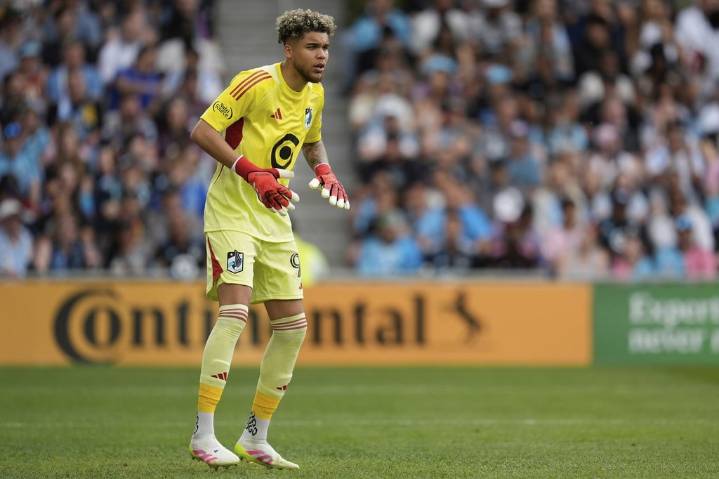 Canada’s Dayne St. Clair and two Vancouver Whitecaps named to MLS Best XI