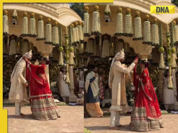 Netra Mantena-Vamsi Gadiraju marry in royal wedding in Udaipur, Donald Trump Jr