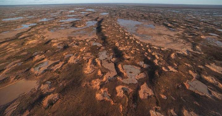NSW government land buys for national parks reshape NSW far west