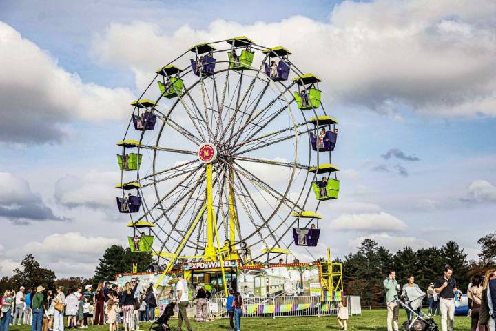 Greenwich Land Trust’s Go Wild! Brings the Community Together