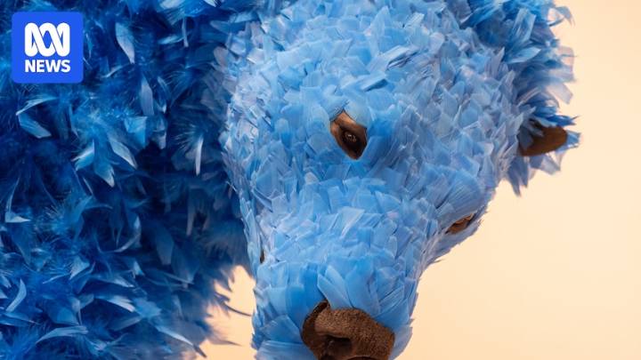 Artist Paola Pivi's vibrant new exhibition fills Art Gallery of Western Australia