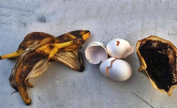 Para qué sirve mezclar cáscaras de banana y de huevo con café