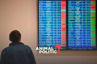 EU cancelará vuelos a partir de este viernes por cierre gubernamental