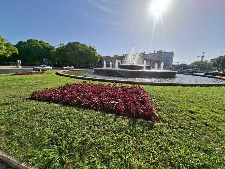 Flores de temporada para embellecer la entrada principal y los edificios emblemáticos de Huelva