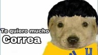 Los mejores memes de la victoria de Tigres 3