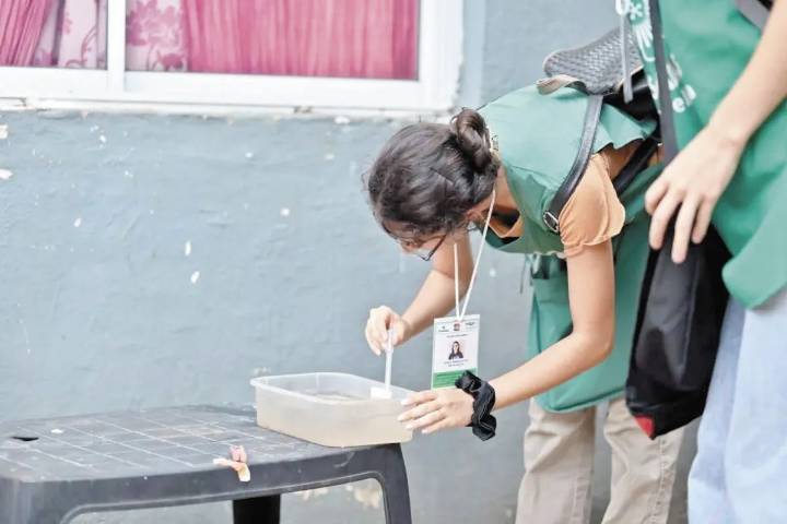 Este martes inicia un nuevo operativo Liraa en Posadas