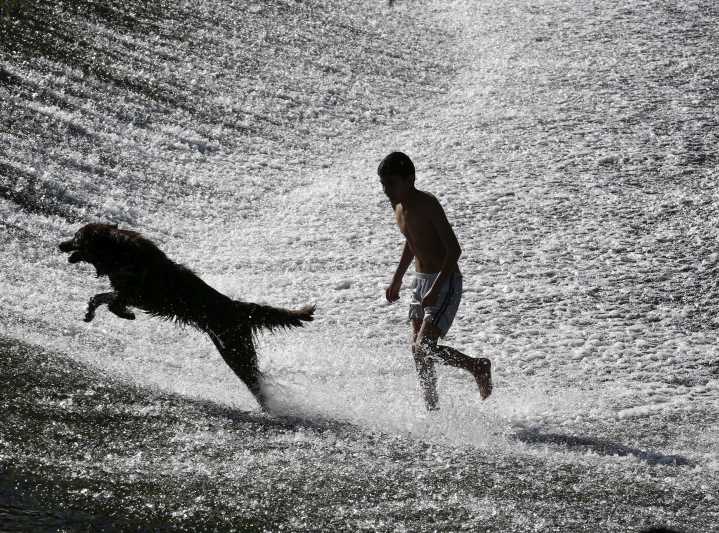 El perro, ‘mejor amigo’ del hombre desde hace más de 10.000 años