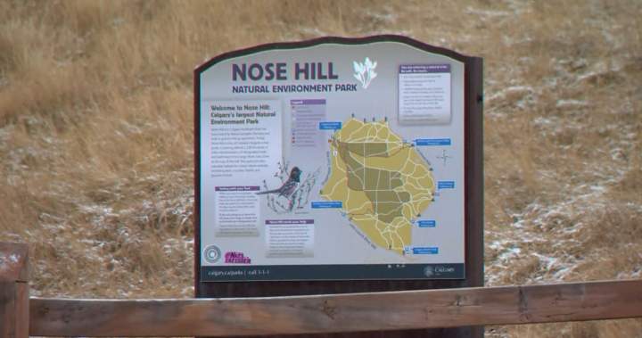 Human remains found in northwest Calgary park