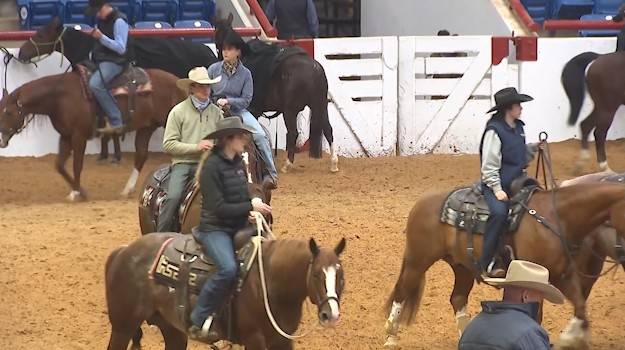 Texas Equine Industry on Alert After EHV-1 Outbreak at Waco Event