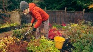 13 End-Of-Year Gardening Mistakes To Avoid For A Beautiful Spring
