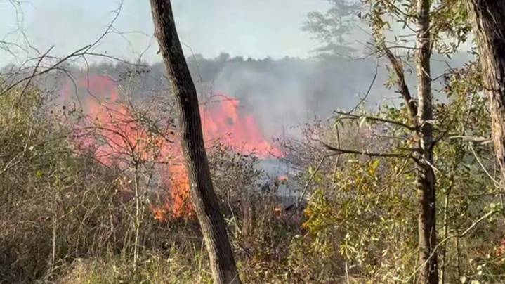 Fire crews contain 56-acre blaze in Jasper County