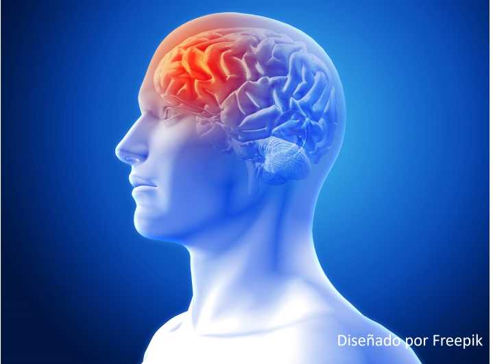 Salud cerebral, la clave para el bienestar y la prevención de enfermedades neurológicas