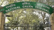 Bhopal News: National Green Tribunal Pulls Up BMC Over Bhoj Wetland Encroachments